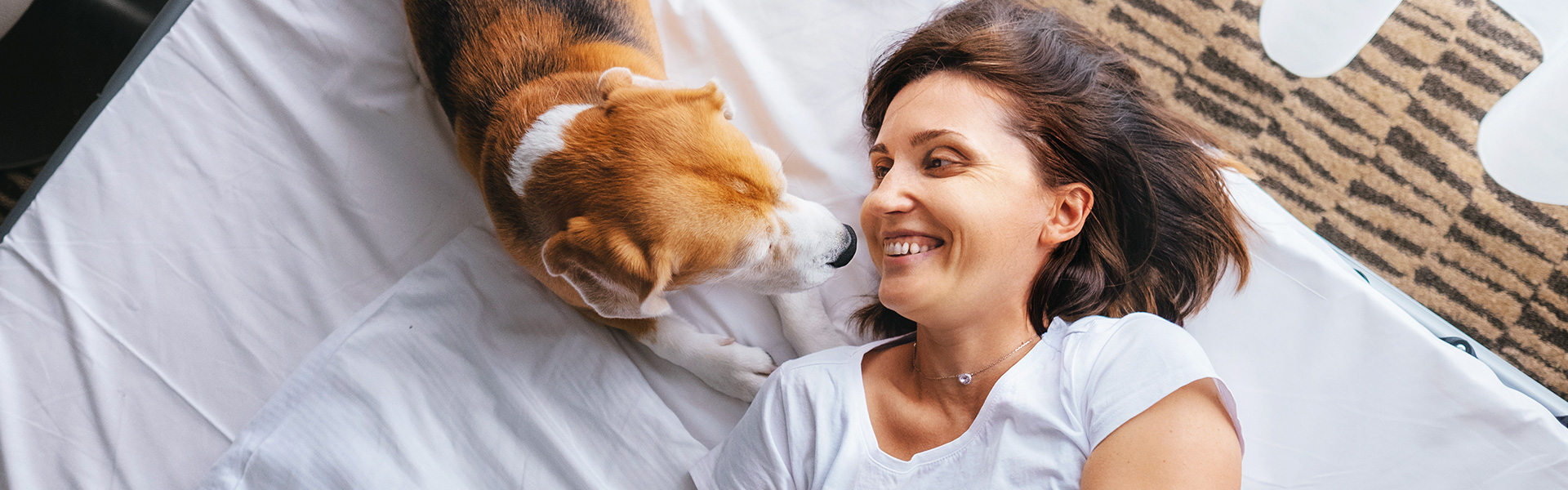 Petfriendly Resort in San Diego The Surfer Beach Hotel